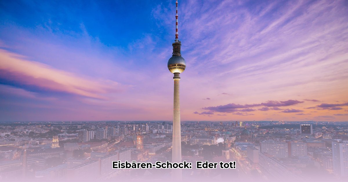 berlin-rebels-spieler-tot